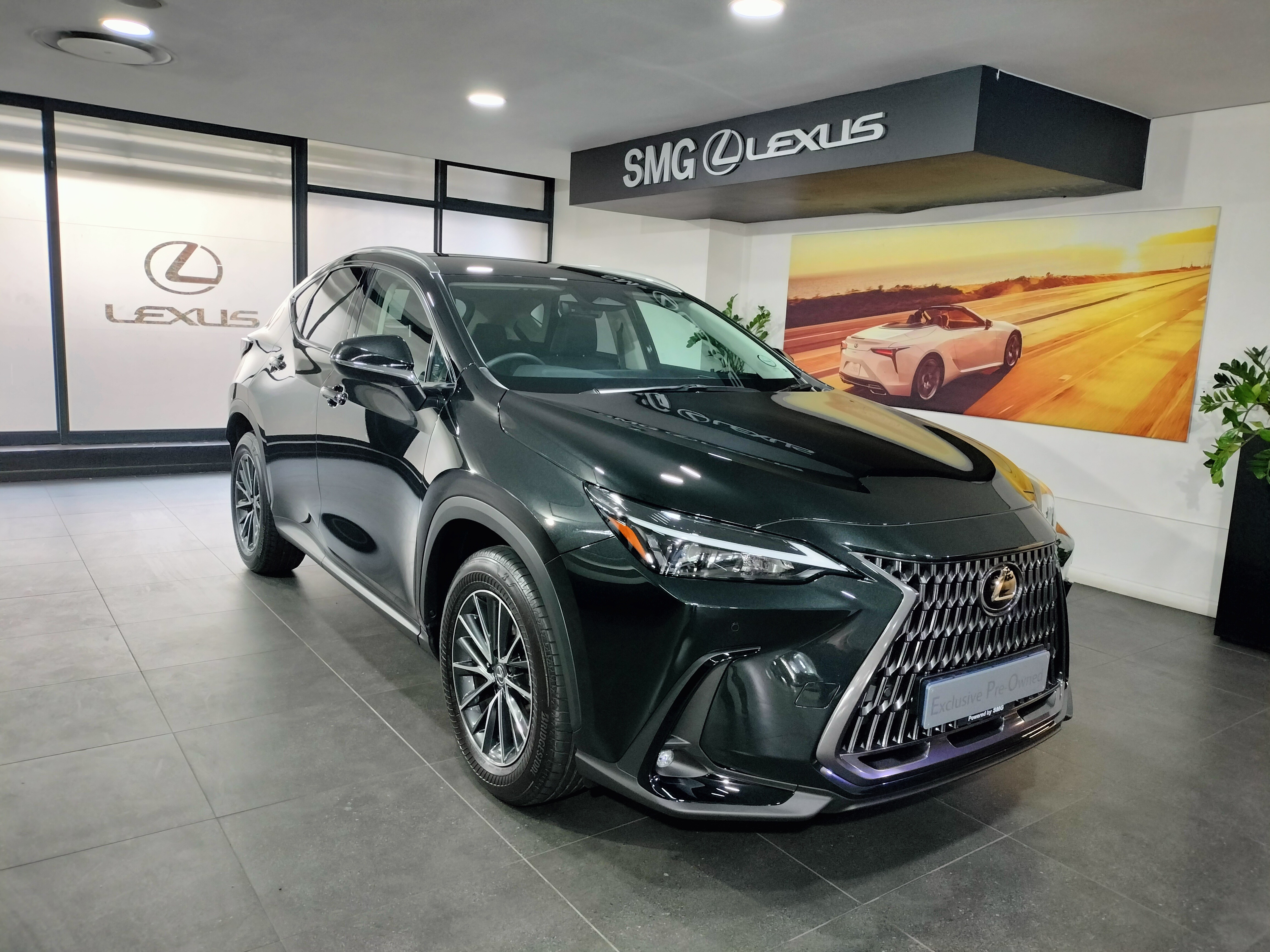 2024 Lexus NX  NX 350h EX (76G)  for sale - SMG04|USED|500653