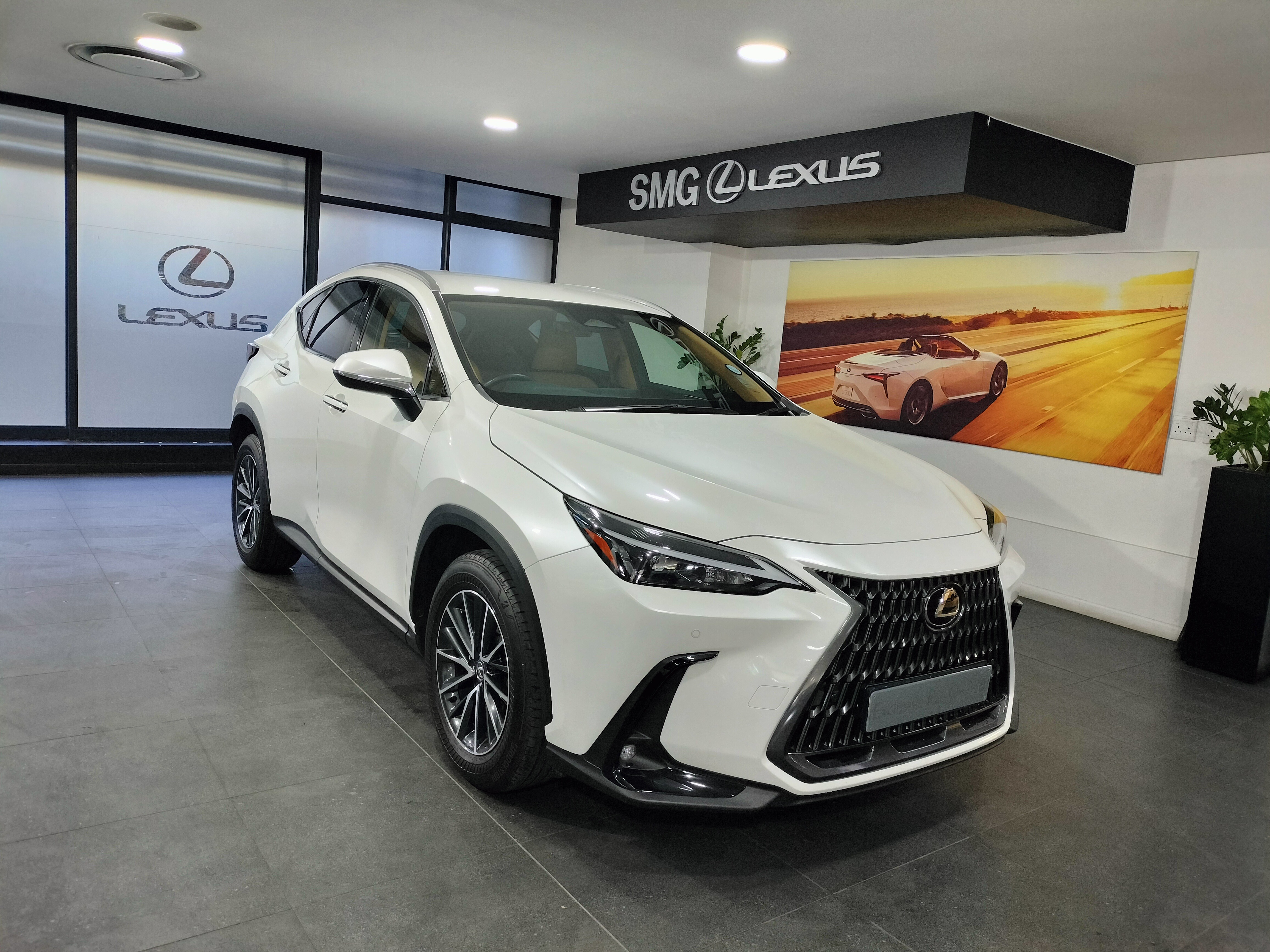 Lexus NX 250 EX